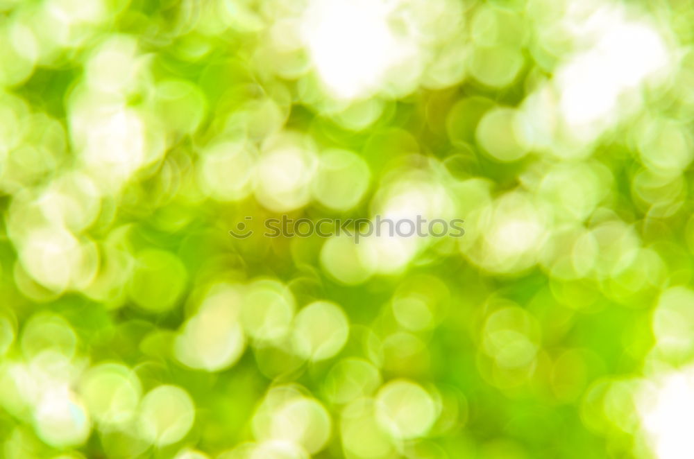 Similar – Image, Stock Photo Green Spots Colour Dye