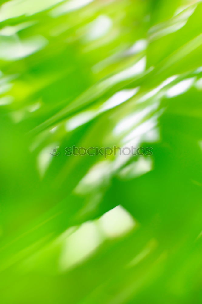 Similar – Image, Stock Photo Recently in the park