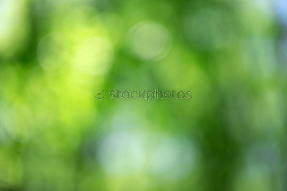 Similar – Image, Stock Photo lots of green Environment