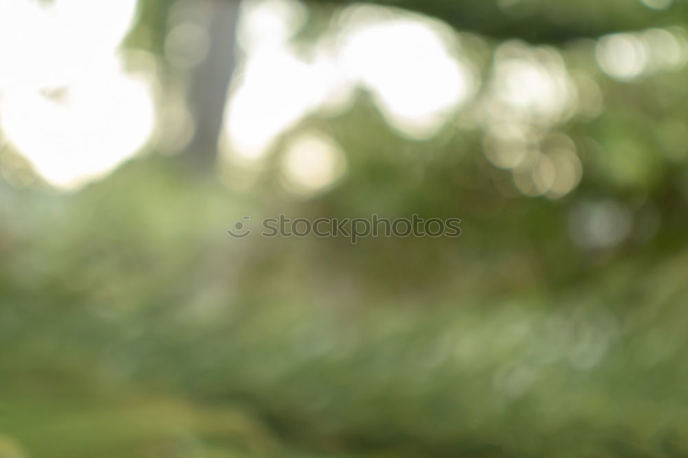 Similar – Foto Bild Das doppelte Lottchen