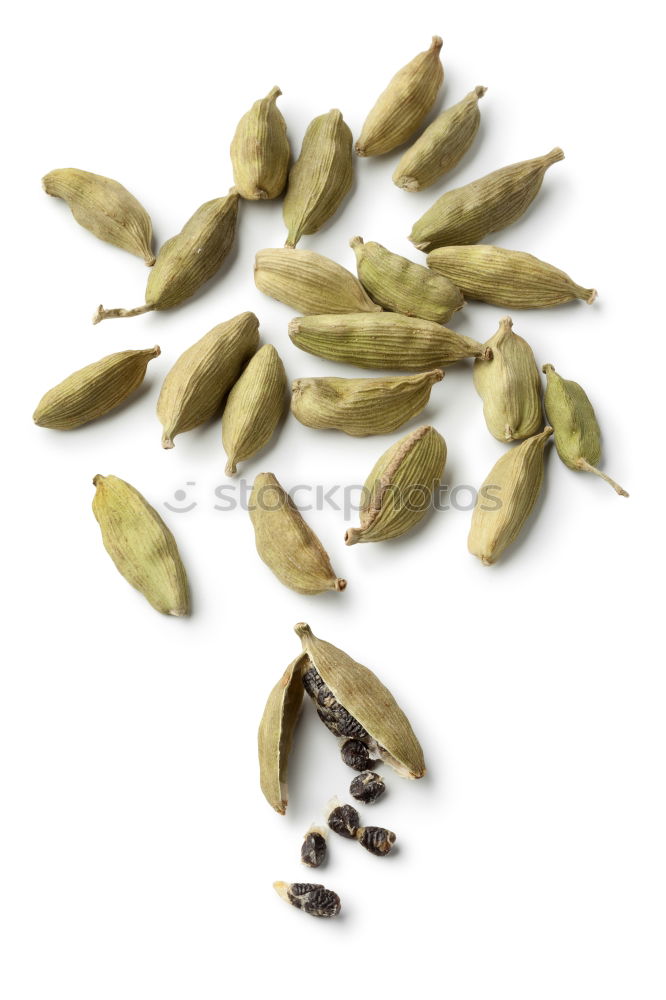 Similar – cardamom Food