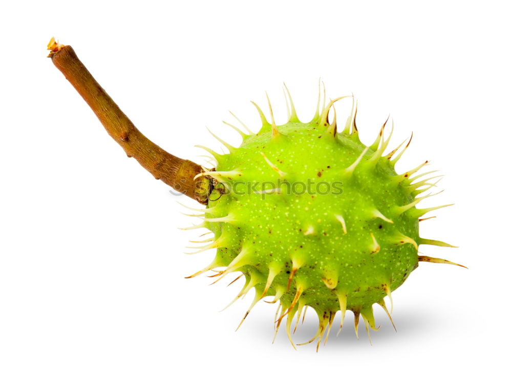 Similar – Image, Stock Photo apple with nails Food