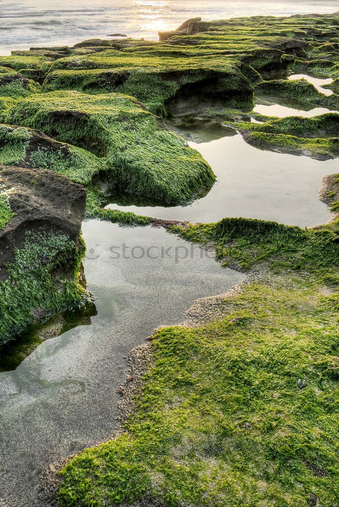 Similar – drained Beach Nature Sand