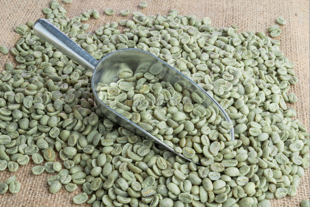 Similar – cardamom Food