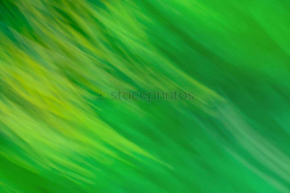 Similar – Image, Stock Photo Blades of grass