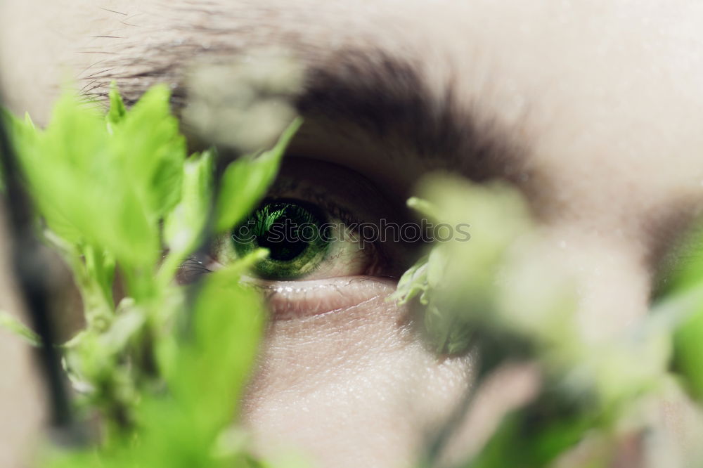 Similar – Image, Stock Photo lady in the undergrowth