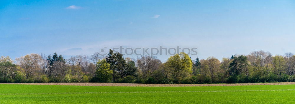 Similar – Foto Bild CHAMANSÜLZ | waldrand