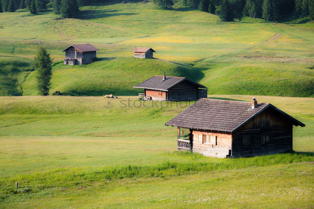 Similar – happy lovers on Holiday in the alps mountains