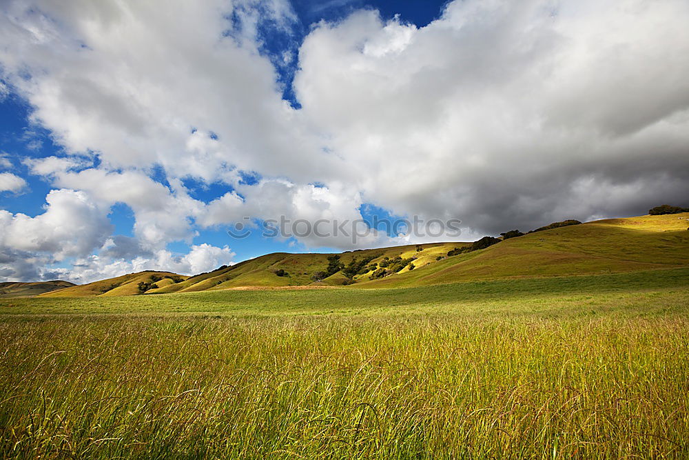 Similar – Altai Natur Landschaft