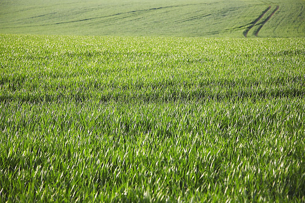 Similar – Grüner Herbst Landschaft