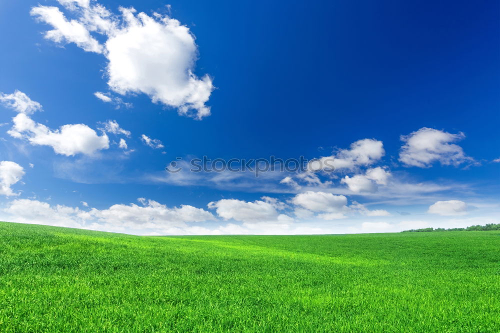 Similar – large green meadow_03