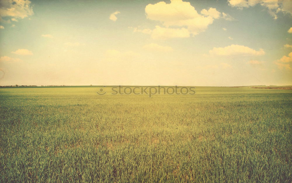 Similar – Foto Bild sonnendeck Erholung Sommer