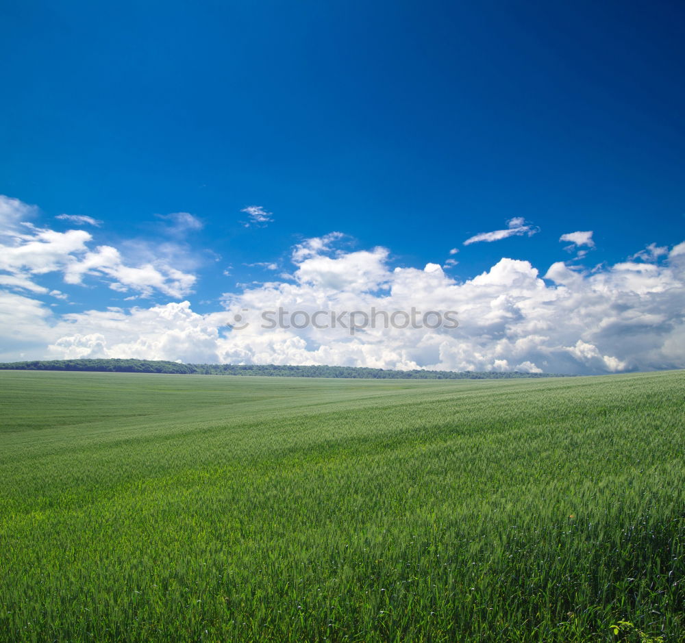 Similar – Image, Stock Photo yeah, that’s a rapsfeld too is a rapsfeld…