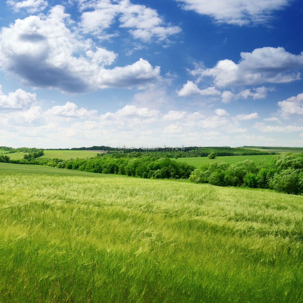 Similar – Foto Bild Kornfeld II Wolken