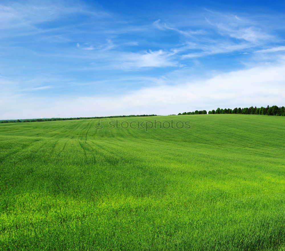 Similar – Image, Stock Photo heaven on earth Meadow