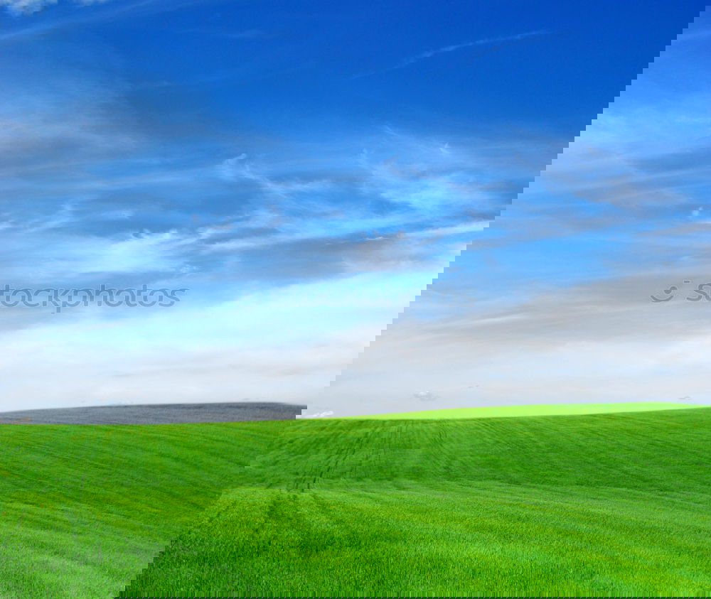 Similar – Image, Stock Photo RAPSZEIT! Canola Field