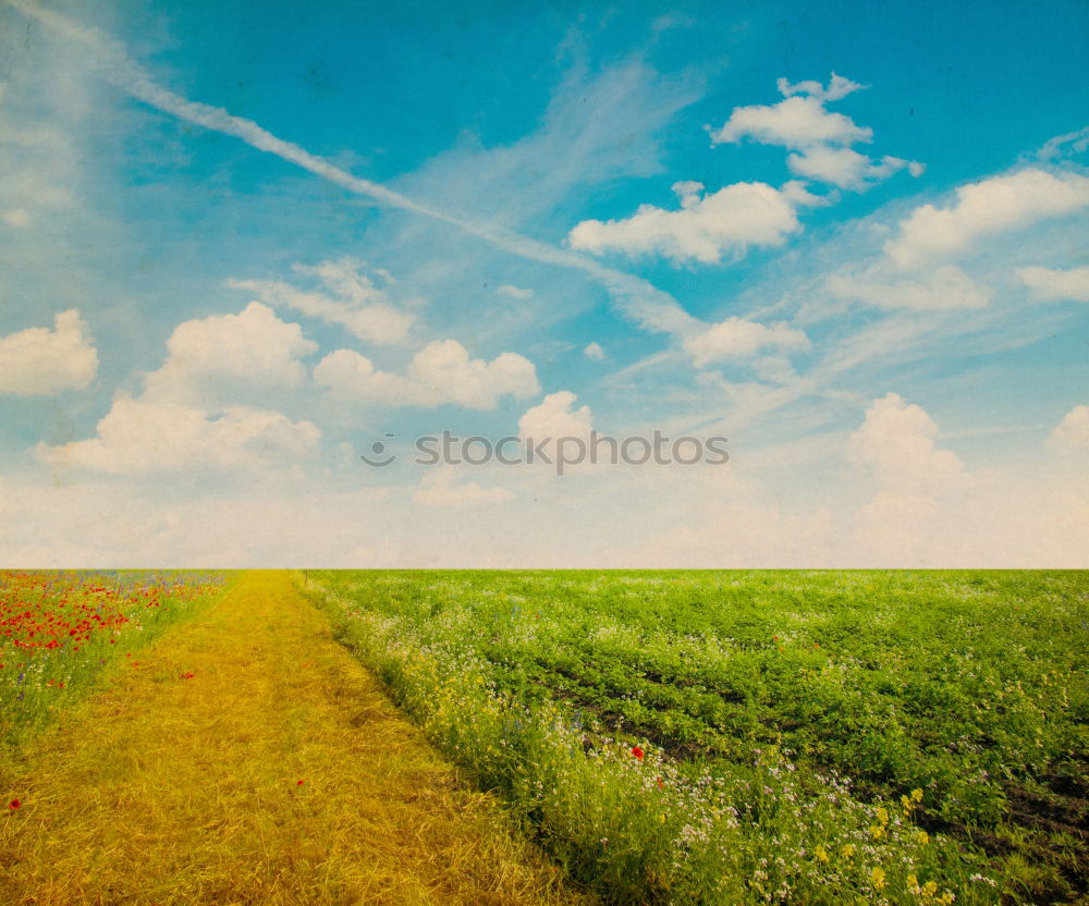 Similar – Endlose Straße Feld Wolken