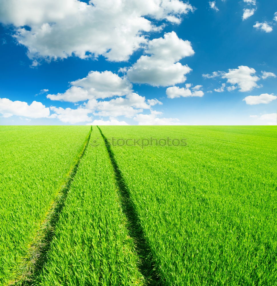 Similar – Image, Stock Photo Way to heaven Spring