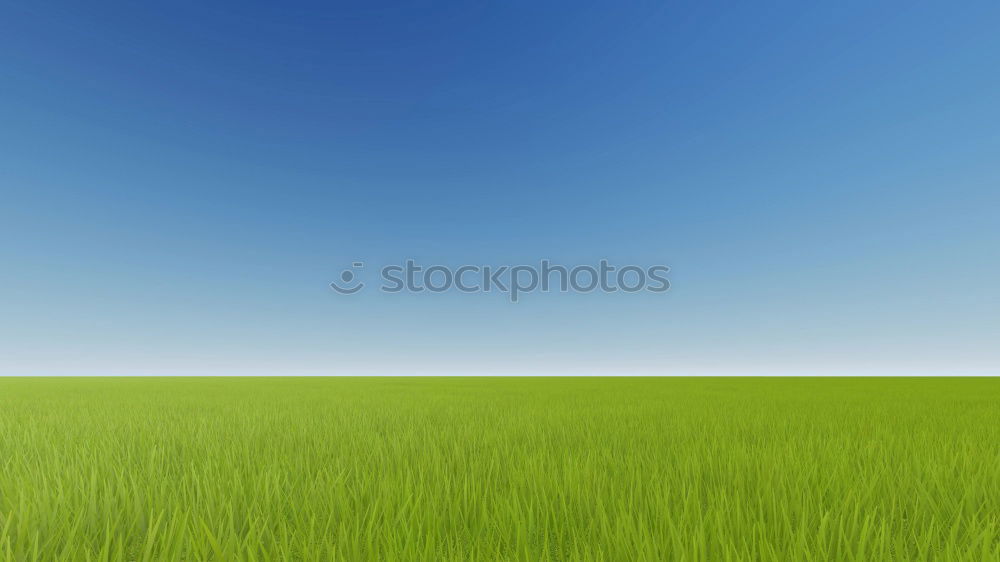 Similar – Image, Stock Photo summer classics Grass Sky