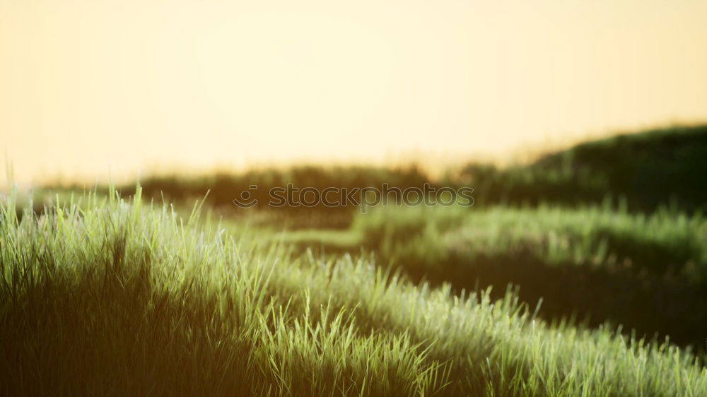 Similar – Image, Stock Photo piece of fence