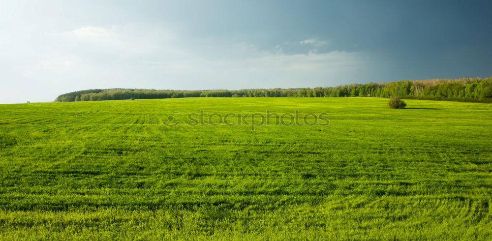 Similar – Image, Stock Photo The Green Mile V3 Air