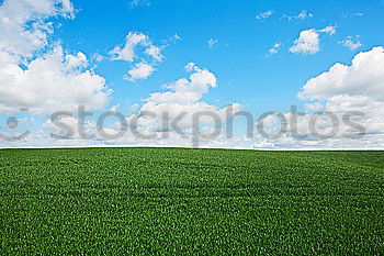 Similar – Image, Stock Photo Tyre tracks in spring