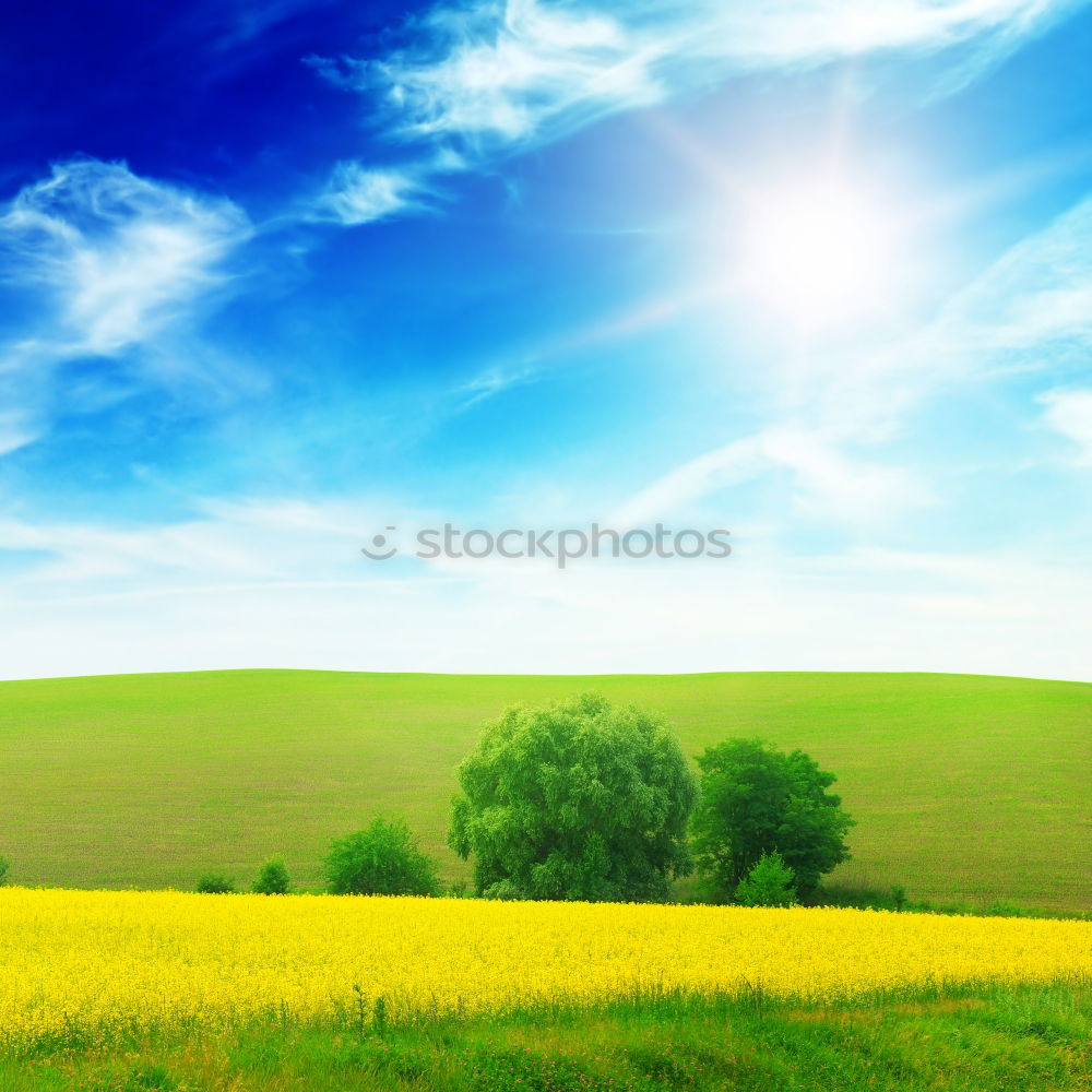 Similar – Pear tree in a meadow with Swabian Alb in the background