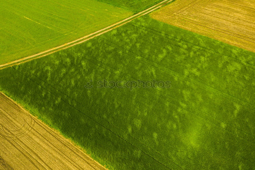 Similar – Image, Stock Photo Rural Highway Grain Farmer