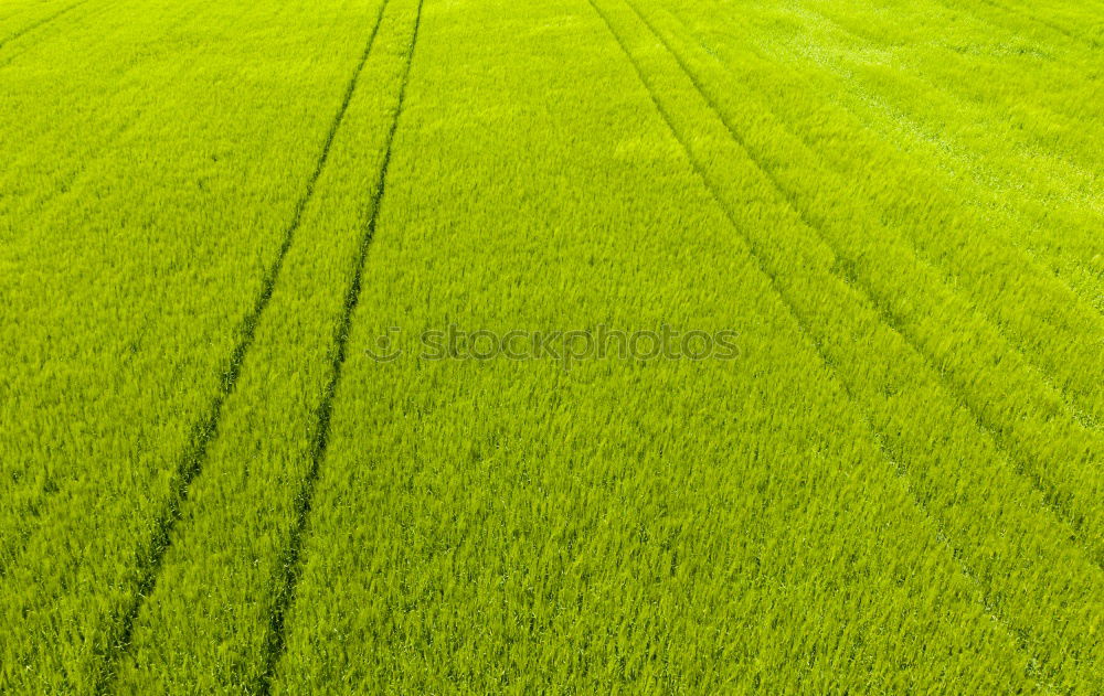 Similar – Image, Stock Photo Rural Highway Grain Farmer