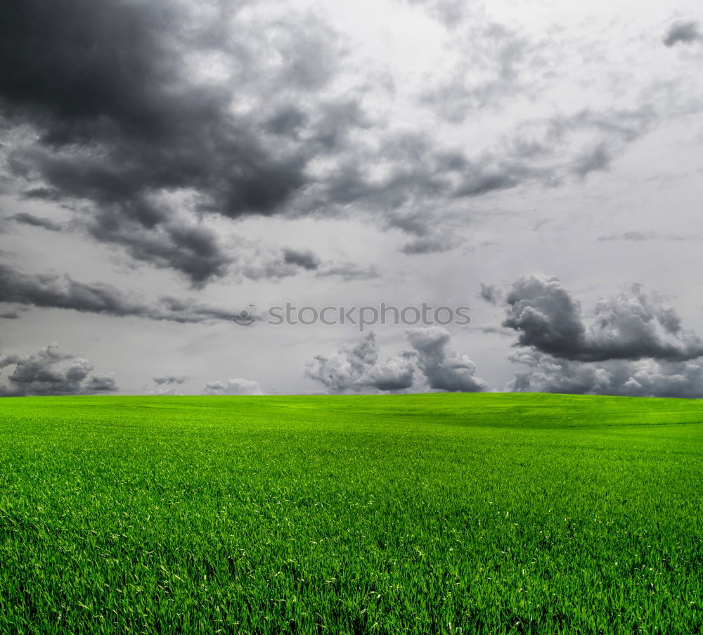 Similar – Image, Stock Photo Inningen near Augsburg II