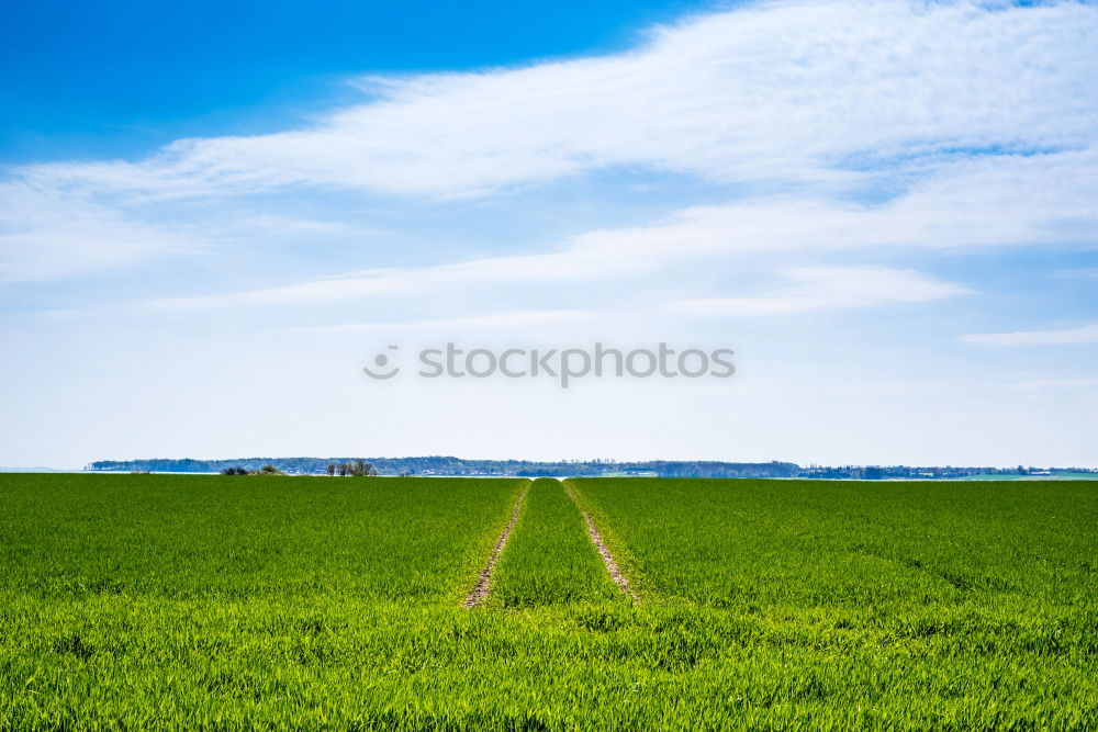 Similar – Image, Stock Photo straight ahead Landscape