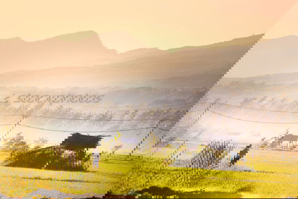 Similar – Image, Stock Photo Long path ahead. Landscape