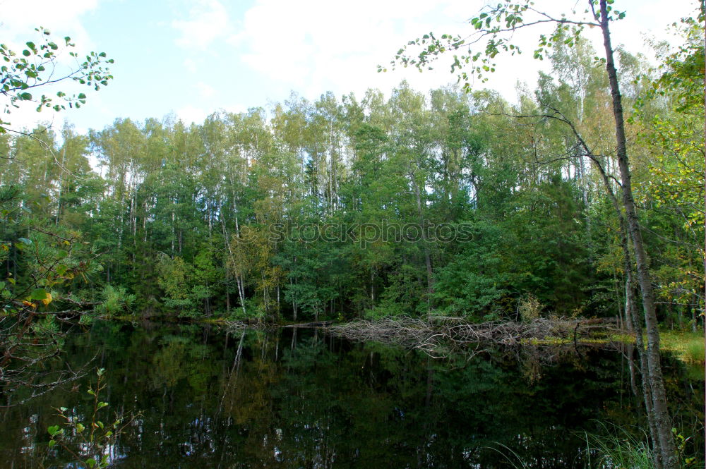 Similar – Seelenruhe Wolken Wald