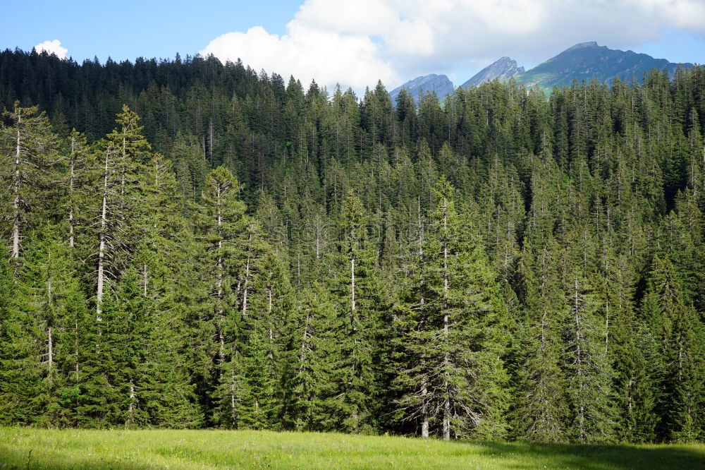 Similar – Image, Stock Photo Diamond Peak Landscape