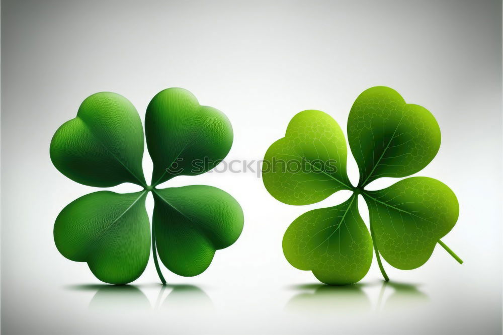 lucky clover Clover