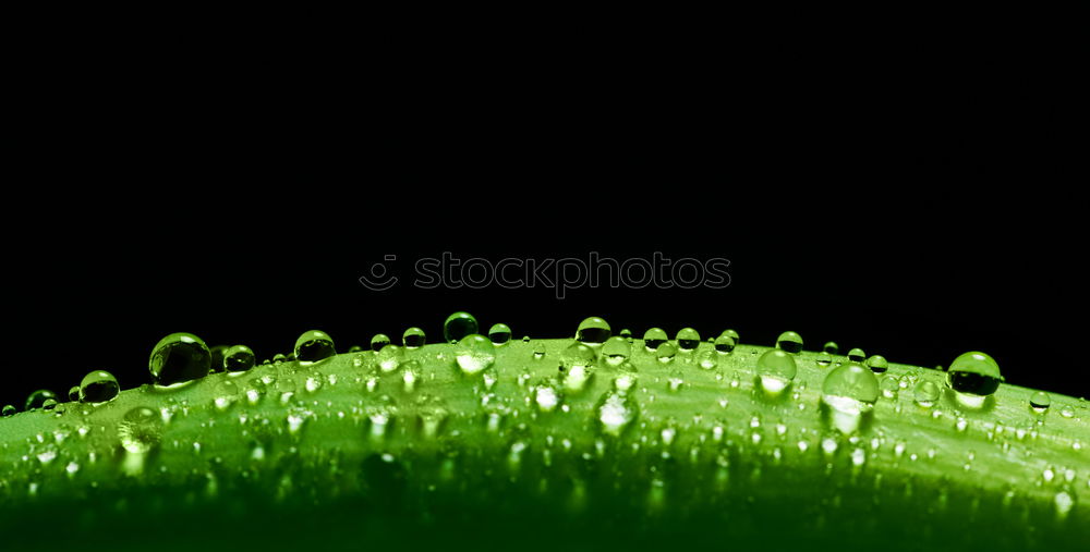 Similar – Image, Stock Photo drink a drink Water