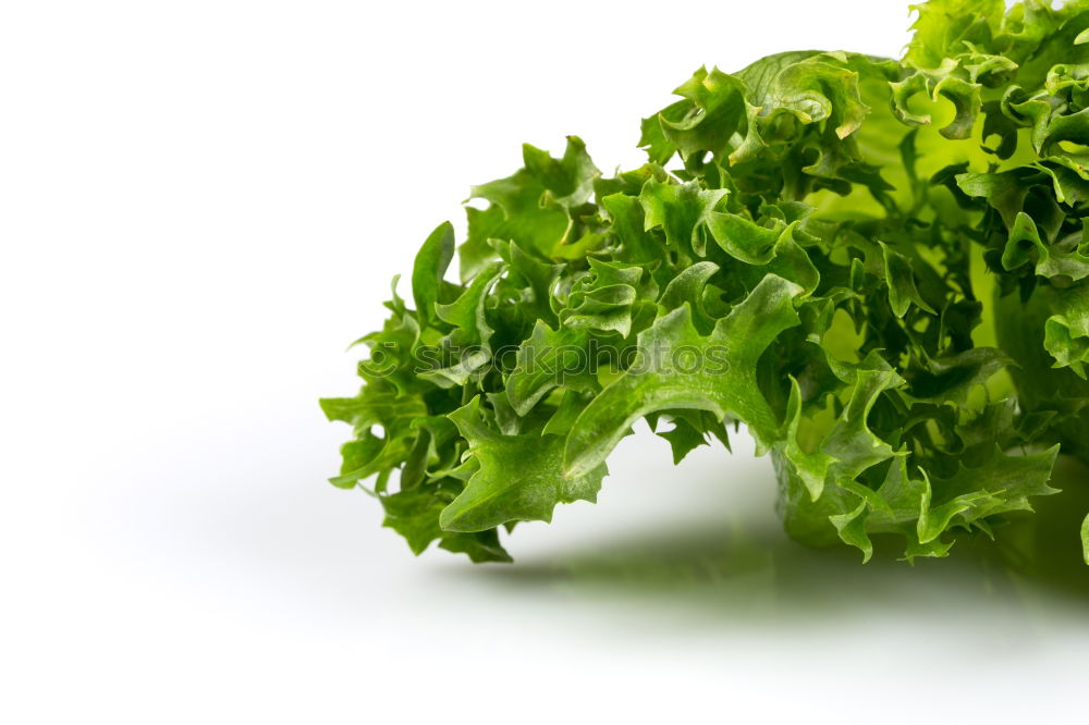 Similar – Image, Stock Photo parsley Parsley