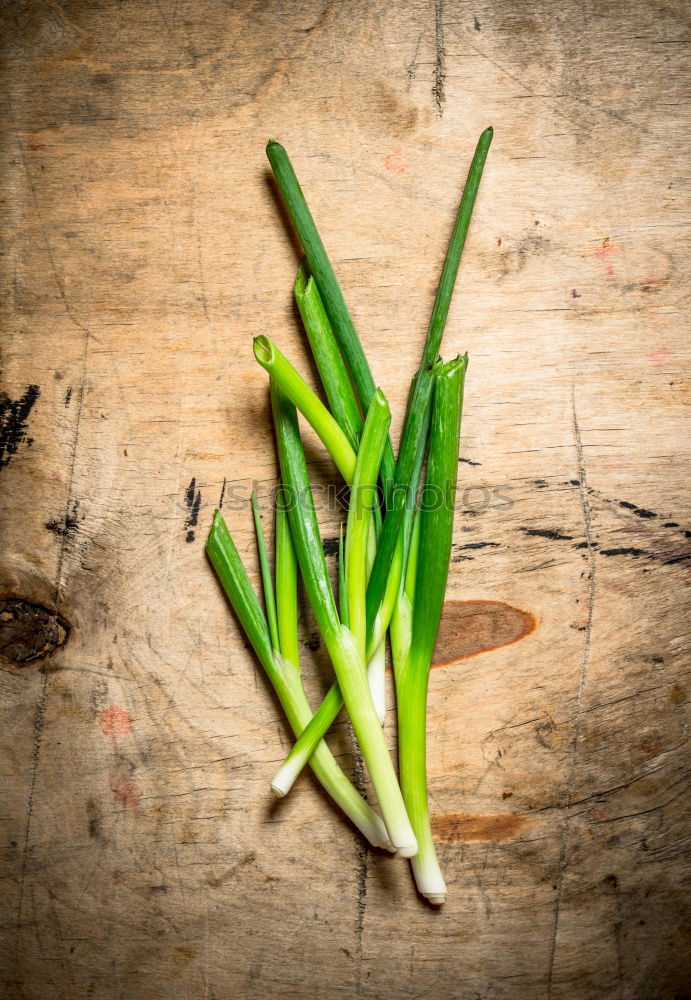 Similar – Image, Stock Photo Sage on dark wooden table, frame