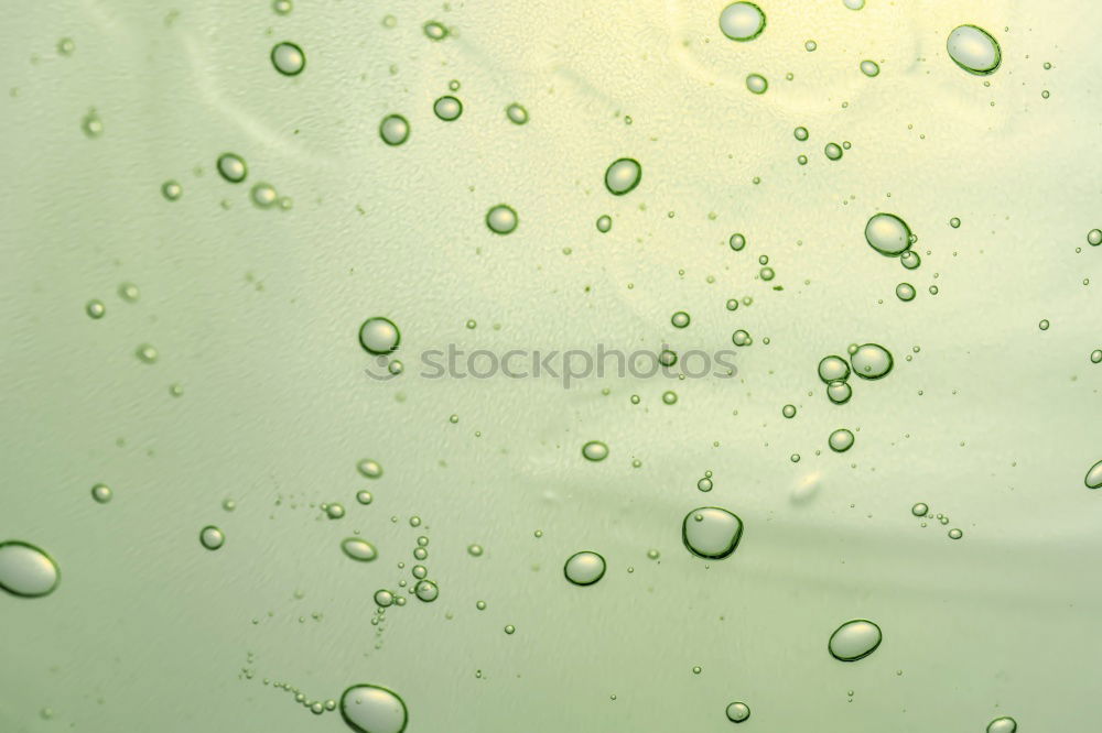 Similar – Foto Bild Ahhhh … *rülps* Becher