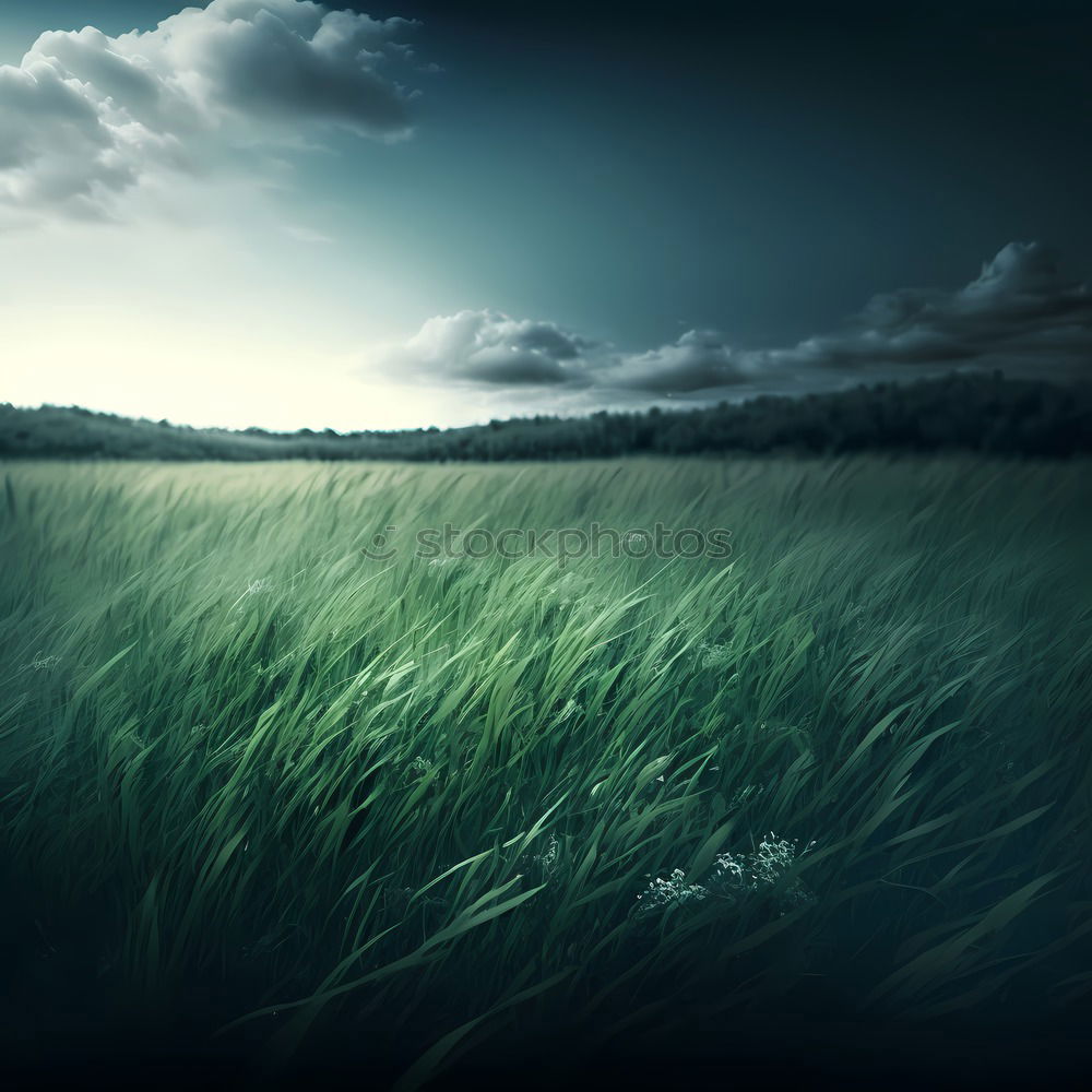 Image, Stock Photo STORM IS COMING Clouds