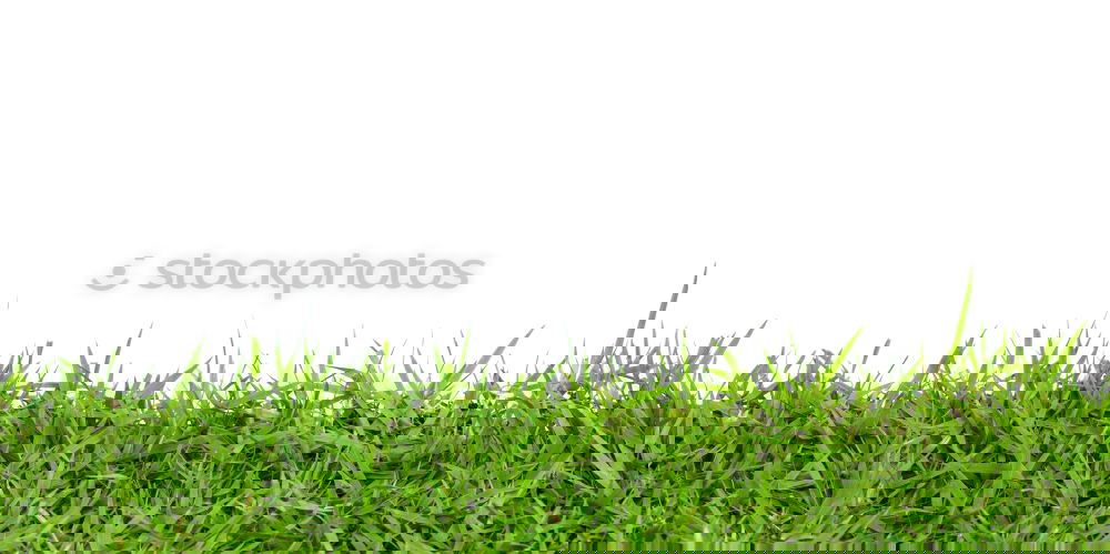 Similar – Foto Bild kick it like beckham!