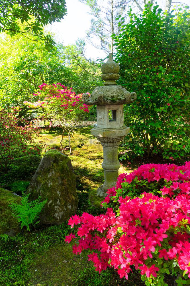 Image, Stock Photo Japanese Garden Landscape
