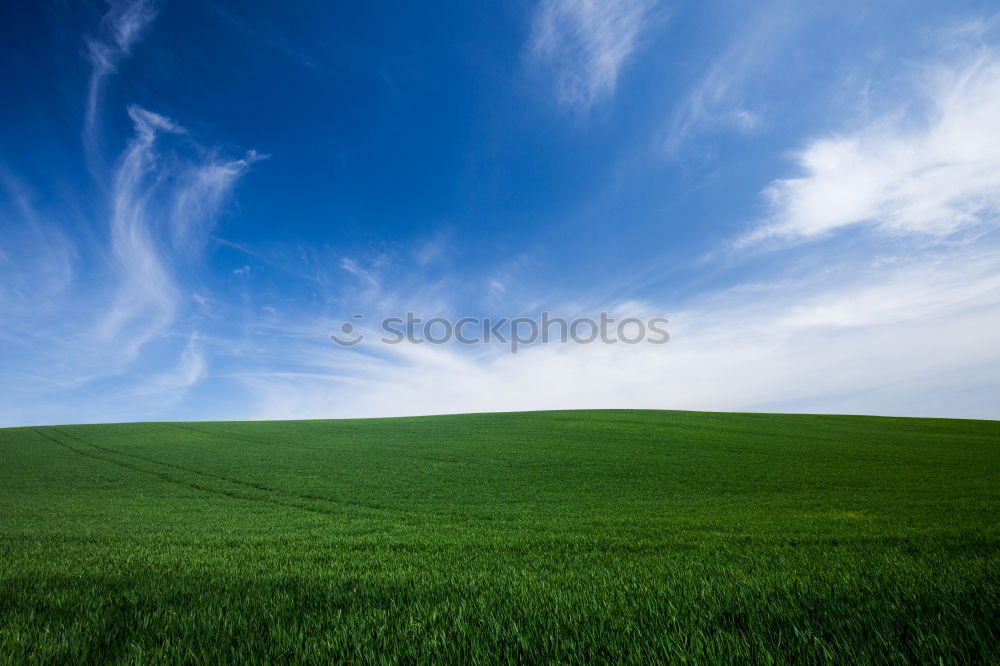 Similar – green ramp II Green Grass