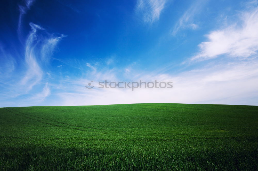 Similar – Image, Stock Photo hidden house (haunted)