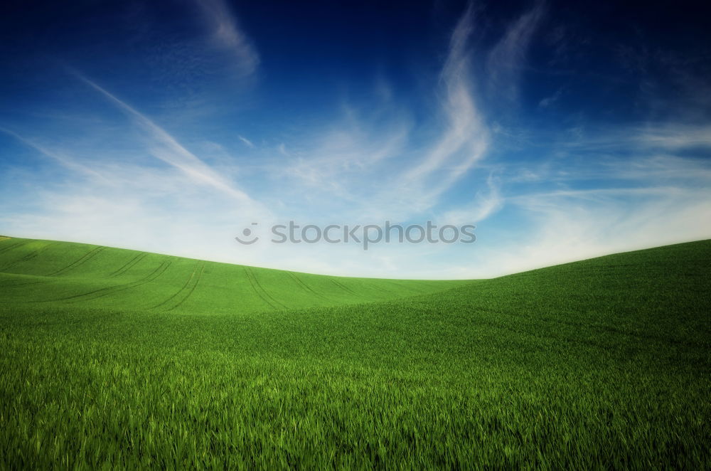 Similar – Image, Stock Photo Green and blue… III