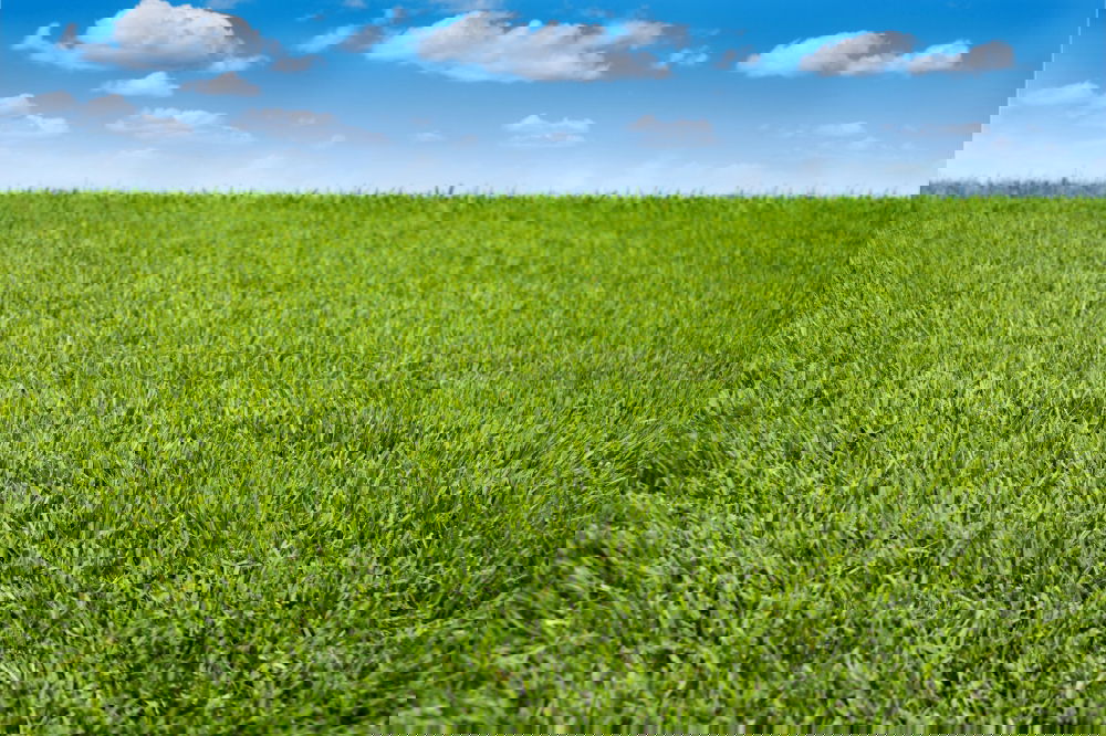 Similar – Foto Bild …energieschatten Feld