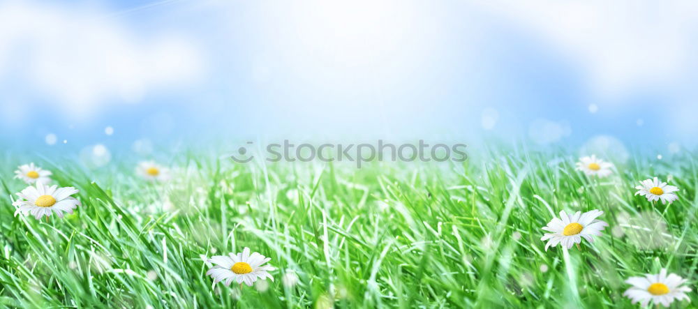 Similar – Image, Stock Photo ::12-6:: Environment