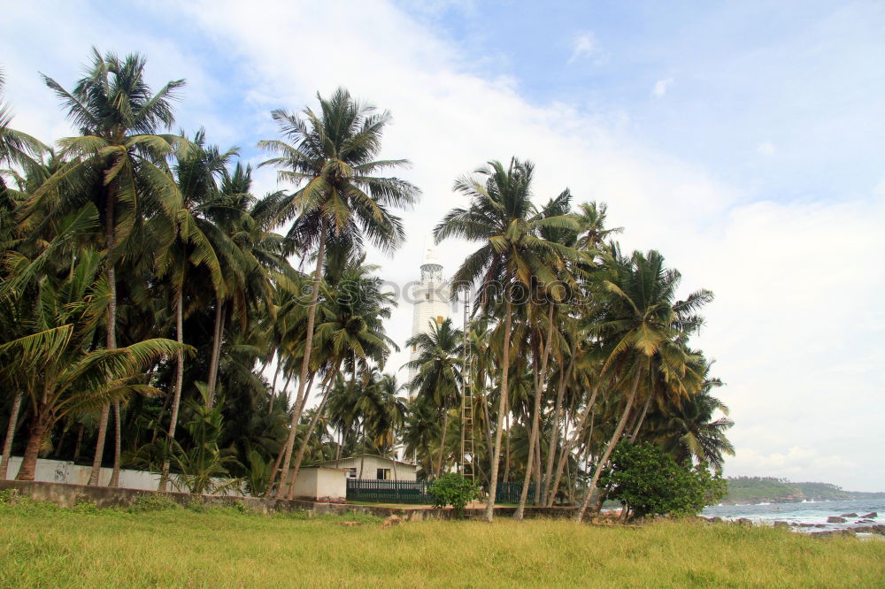 Similar – Bali Island Indonesia Asia