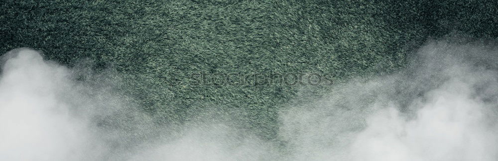 Similar – Image, Stock Photo Zwiegespalten l Cologne