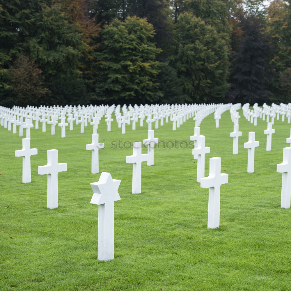 Similar – Image, Stock Photo Dead or Alive War Grave